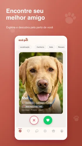 Tela de swipe com pets disponíveis para adoção